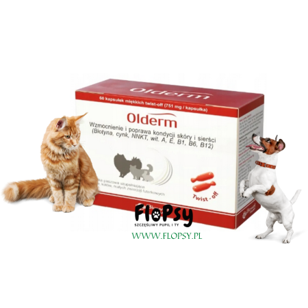 OLDERM 60 KAPS. TWIST - OFF